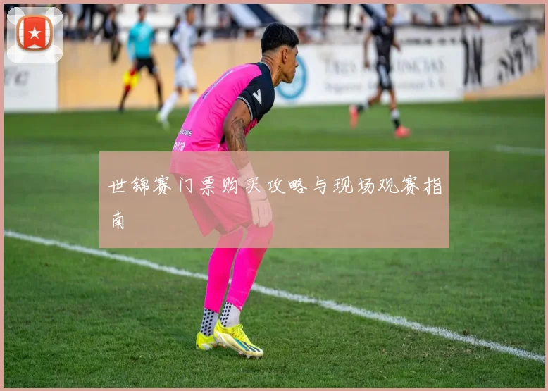 世锦赛门票购买攻略与现场观赛指南