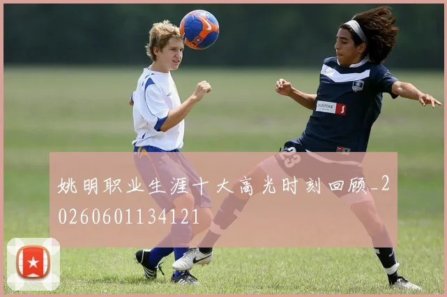 姚明职业生涯十大高光时刻回顾_20260601134121